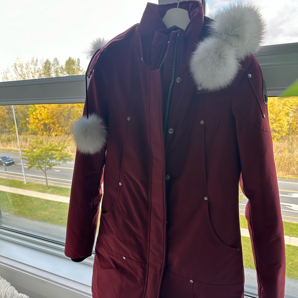 Moose knuckles winter jacket